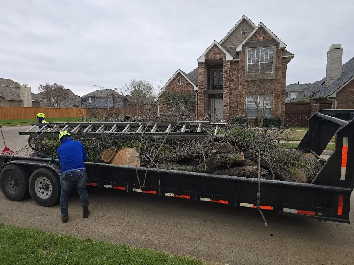 Expert Tree Fertilization with proper safety equipment in Dougherty